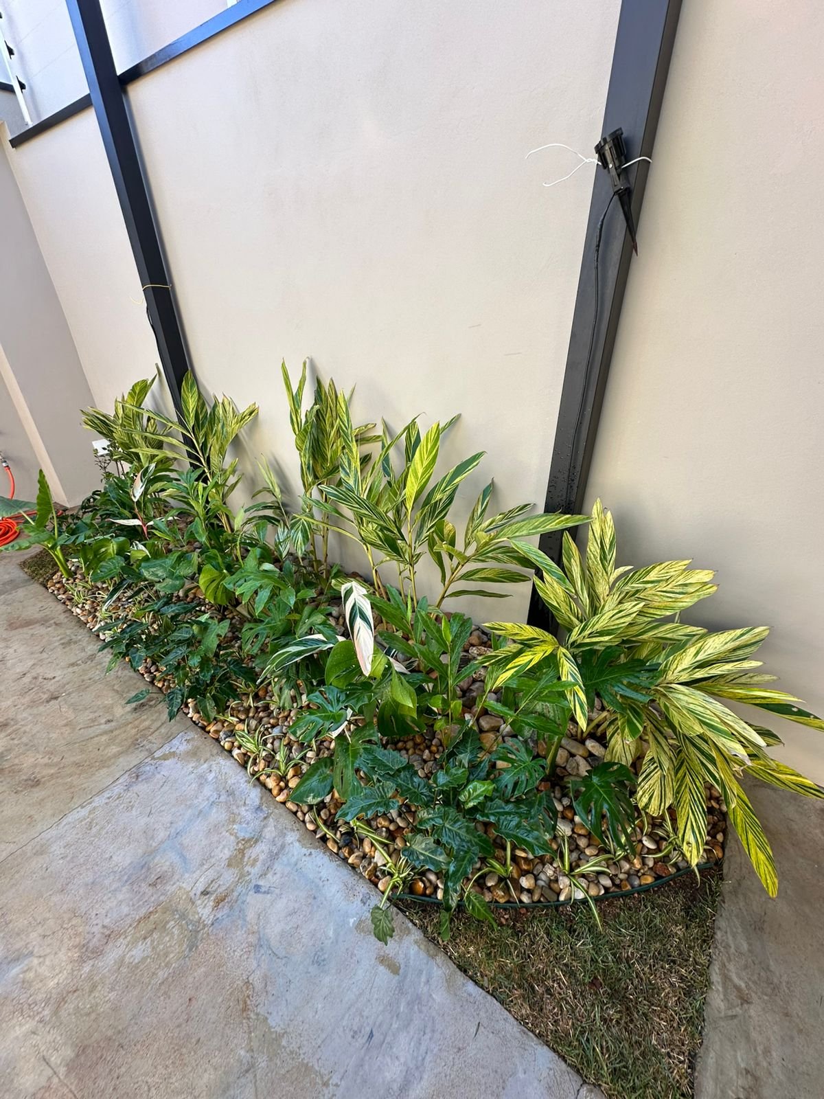 Equipe de paisagismo