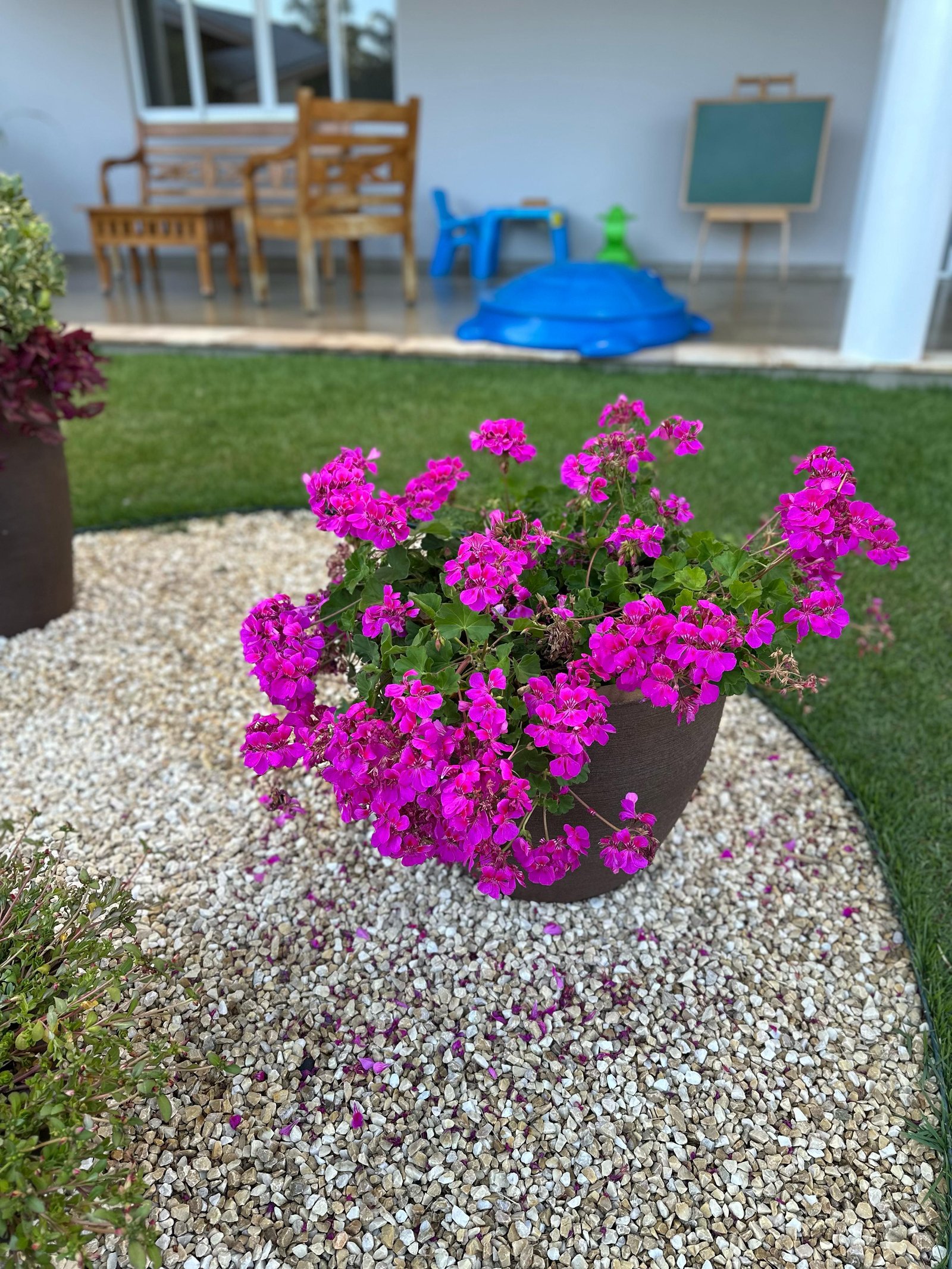 Equipe de paisagismo